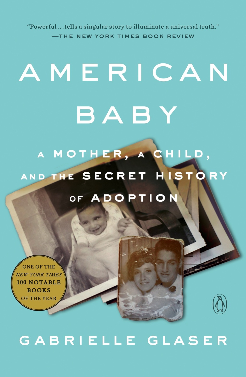 American Baby A Mother, a Child, and the Secret History of Adoption