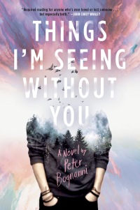 Cover image: Things I'm Seeing Without You 9780735228047