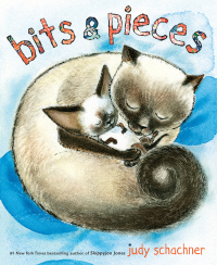 Cover image: Bits & Pieces 9780803737884