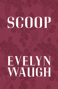 Cover image: Scoop