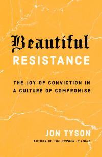 Cover image: Beautiful Resistance 9780735290693