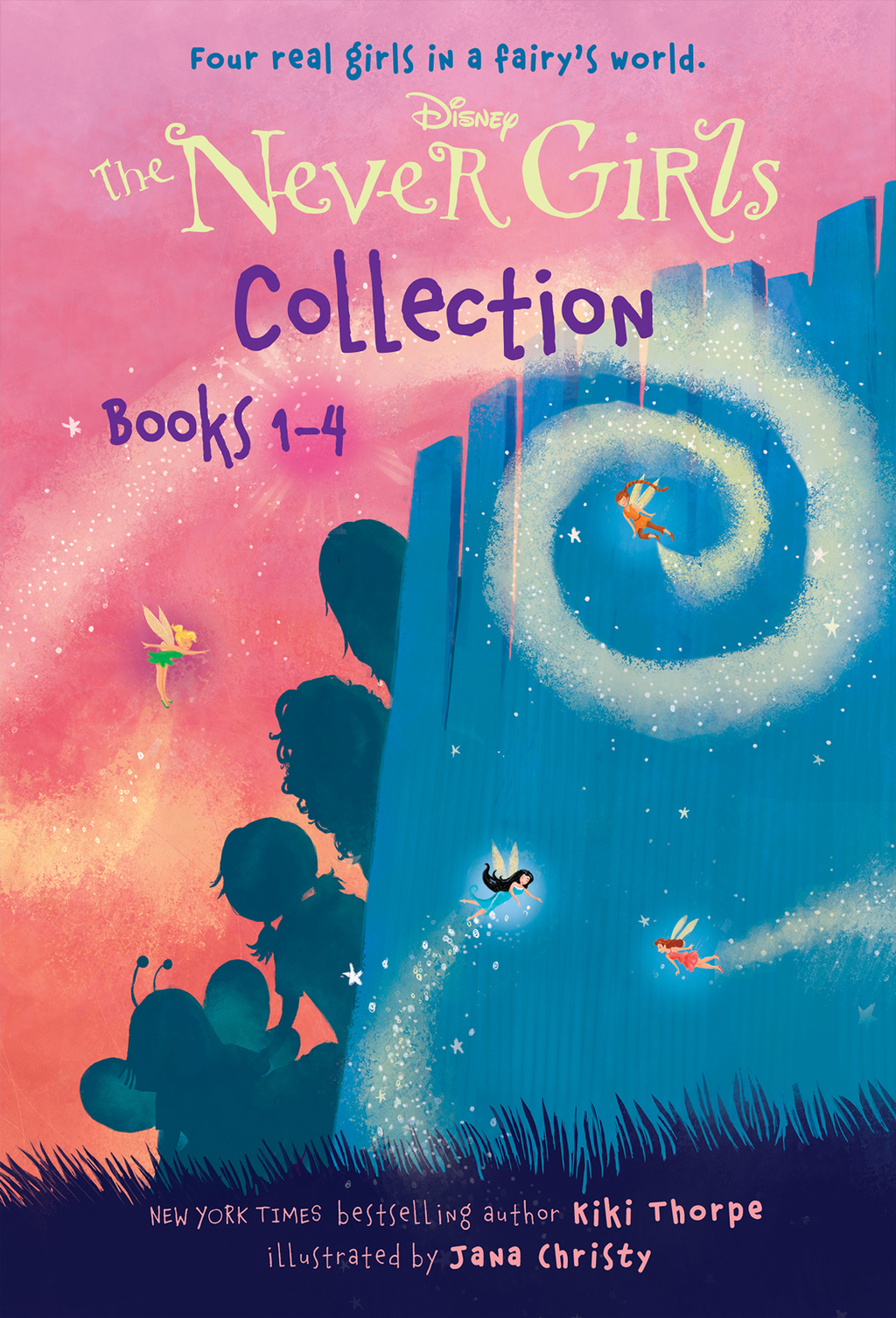 The Never Girls Collection: Books 1-4 (Disney: The Never Girls) (eBook)