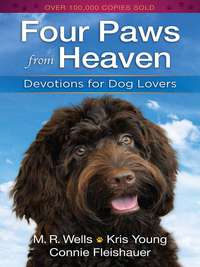 Cover image: Four Paws from Heaven 9780736949521