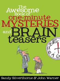 صورة الغلاف: The Awesome Book of One-Minute Mysteries and Brain Teasers 9780736949736