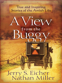 صورة الغلاف: A View from the Buggy 9780736956864