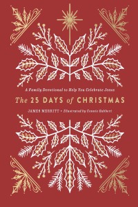 Imagen de portada: The 25 Days of Christmas 9780736973106