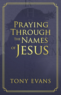 Cover image: Praying Through the Names of Jesus 9780736975308
