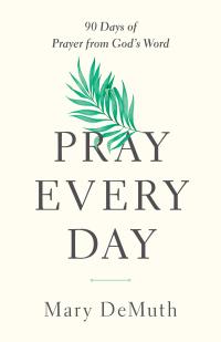 Cover image: Pray Every Day 9780736980098