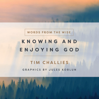 表紙画像: Knowing and Enjoying God 9780736983853