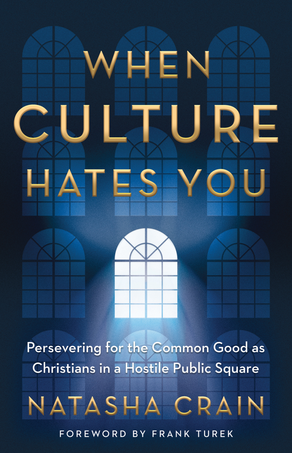 When Culture Hates You eBook