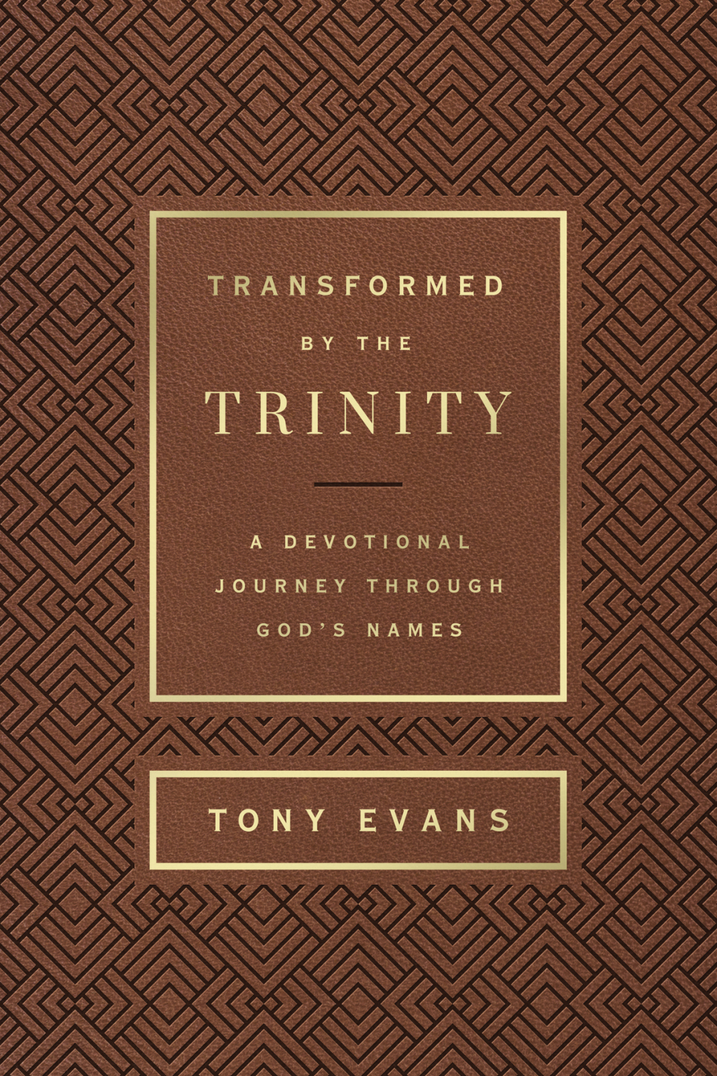 Transformed by the Trinity (Milano Softone) - (Names of God) by Tony Evans (Leather Bound)