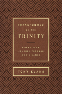 Cover image: Transformed by the Trinity (Milano Softone) 9780736985055