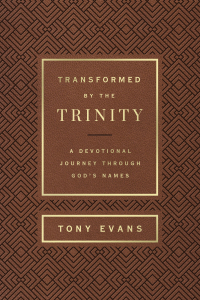 Imagen de portada: Transformed by the Trinity (Milano Softone) 9780736985055