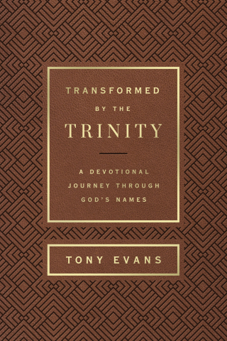Cover image: Transformed by the Trinity (Milano Softone) 9780736985055