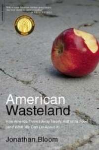 Cover image: American Wasteland 9780738215280