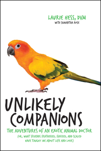 Cover image: Unlikely Companions 9780738219578