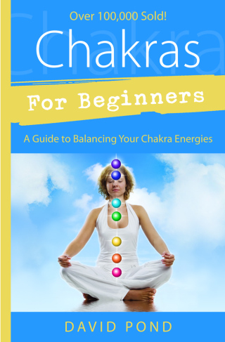 Imagen de portada: Chakras for Beginners 9781567185379