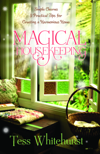 Imagen de portada: Magical Housekeeping 9780738719856
