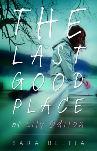 Cover image: The Last Good Place of Lily Odilon 1st edition 9780738720685