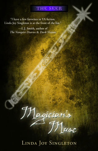 Cover image: Magician's Muse 1st edition 9780738719573