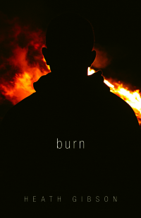 Imagen de portada: Burn 1st edition 9780738730950