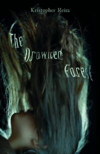 Cover image: The Drowned Forest 1st edition 9780738739106