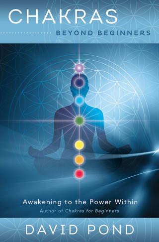 Imagen de portada: Chakras Beyond Beginners 9780738748597