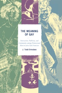 Imagen de portada: The Meaning of Gay 9780739115985