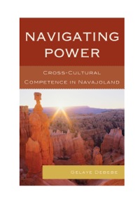 Titelbild: Navigating Power 9780739113004