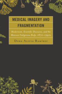 Omslagafbeelding: Medical Imagery and Fragmentation 9780739198285