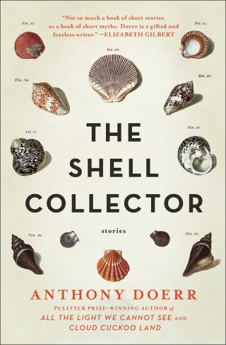 Cover image: The Shell Collector 9781439190050