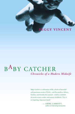 Cover image: Baby Catcher 9780743219341