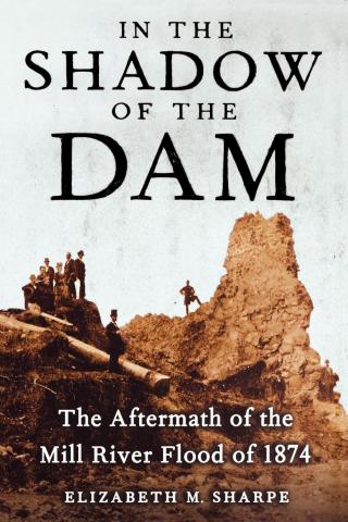 Cover image: In the Shadow of the Dam 9781416572640