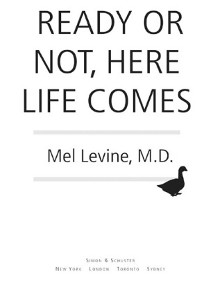 Cover image: Ready or Not, Here Life Comes 9780743262255