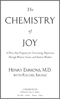 Cover image: The Chemistry of Joy 9780743265072