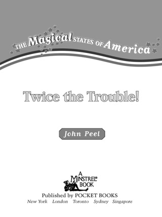 Cover image: Twice the Trouble 9780743417631