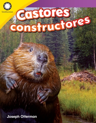 Cover image: Castores constructores (Building a Beaver Lodge) ebook 1st edition 9780743925396