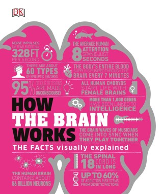 Cover image: How the Brain Works 9781465489791