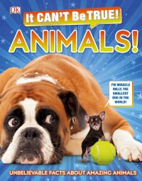Cover image: It Can't Be True! Animals! 9781465482433