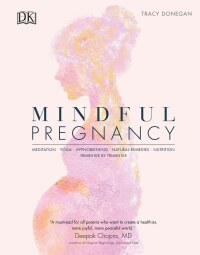 Cover image: Mindful Pregnancy 9781465490445