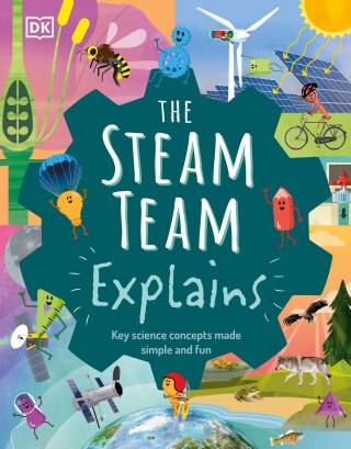 Cover image: The Steam Team Explains 9781465493187