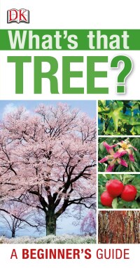 Cover image: What's that Tree? 9781465402196