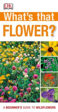 Cover image: What's that Flower? 9781465405920