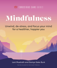 Cover image: Mindfulness 9781615649860