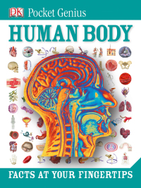 Cover image: Pocket Genius: Human Body 9781465445889