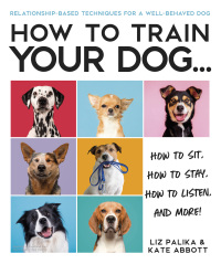 Cover image: How to Train Your Dog 9780744051469