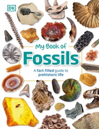 Cover image: My Book of Fossils 9780744049947