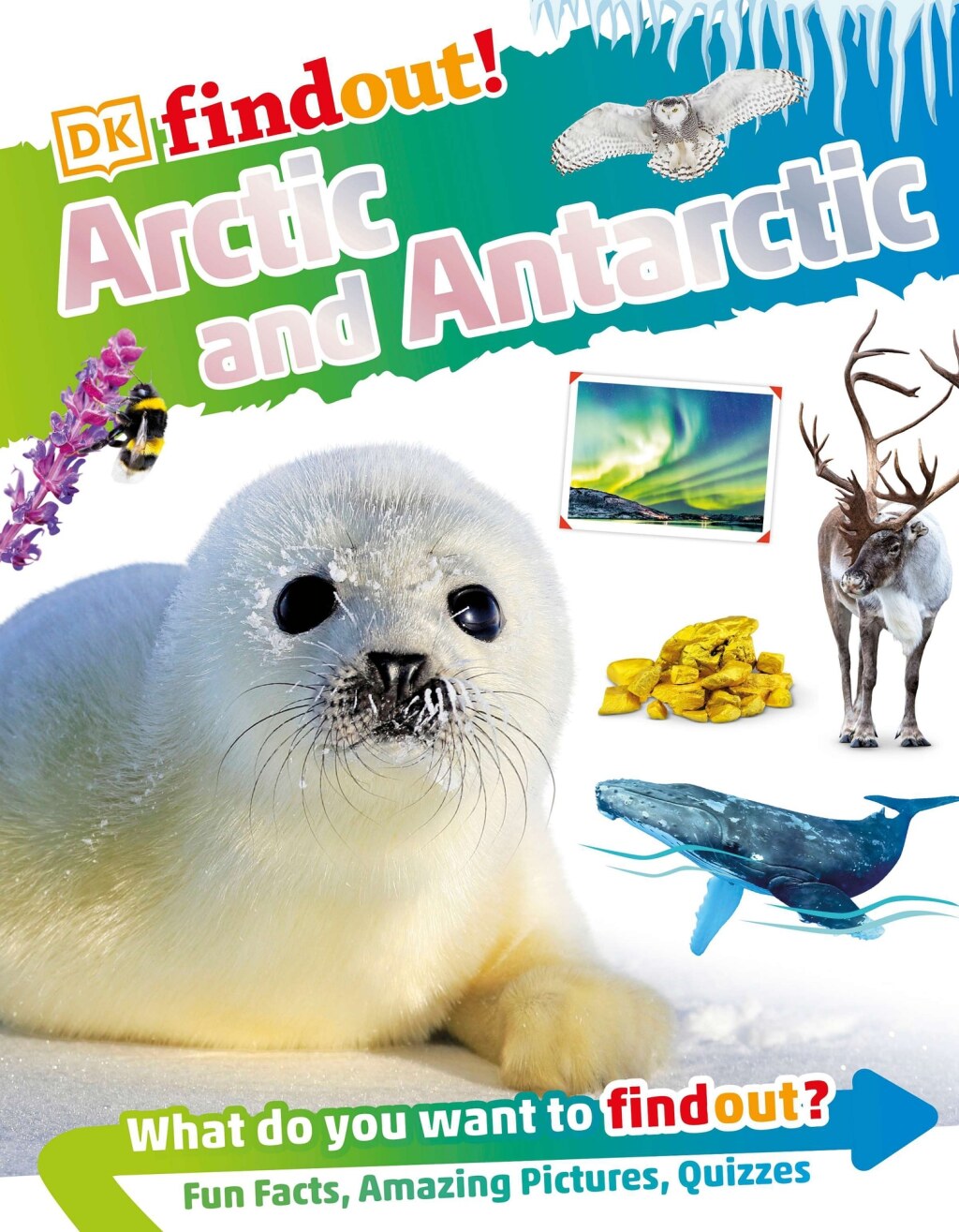 DKFindout! Arctic and Antarctic