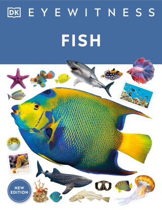 Cover image: Eyewitness Fish 9780744062526