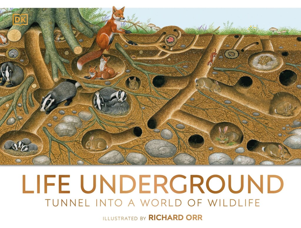 Life Underground Tunnel into a World of Wildlife